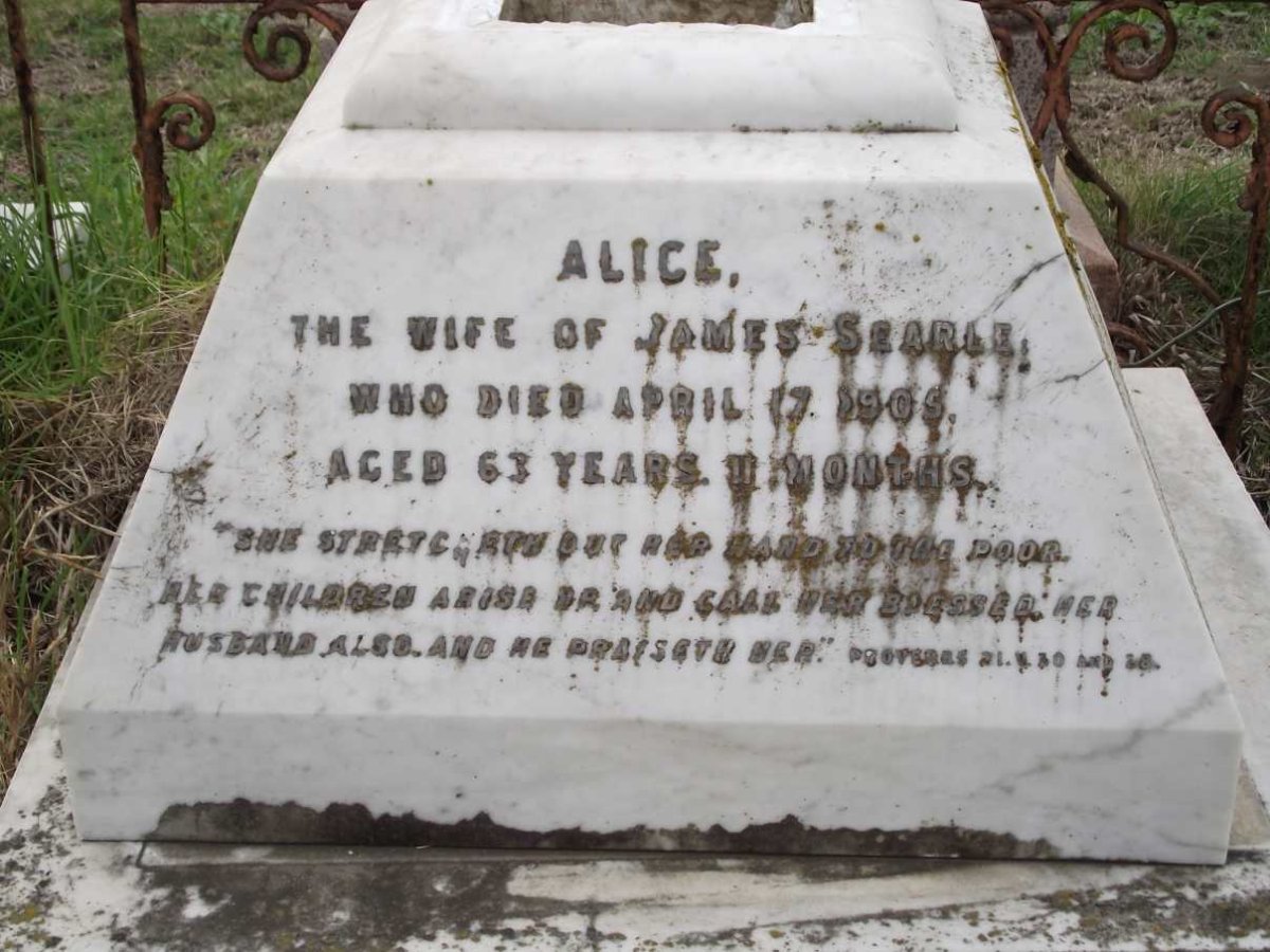 SEARLE Alice  -1905