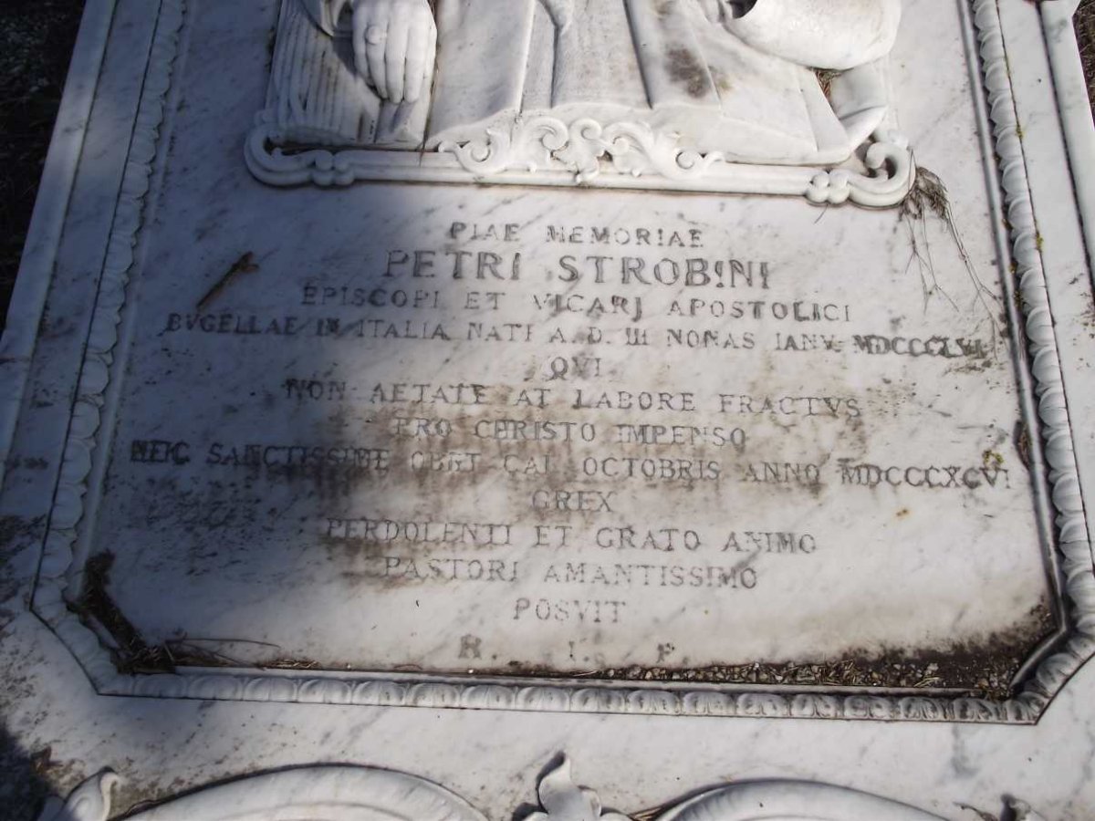 STROBINI Petri 1856-1896