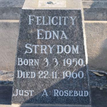 STRYDOM Felicity Edna 1950-1960