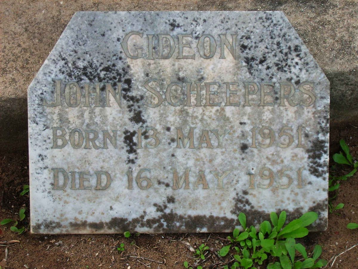 SCHEEPERS  ideon John 1951-1951