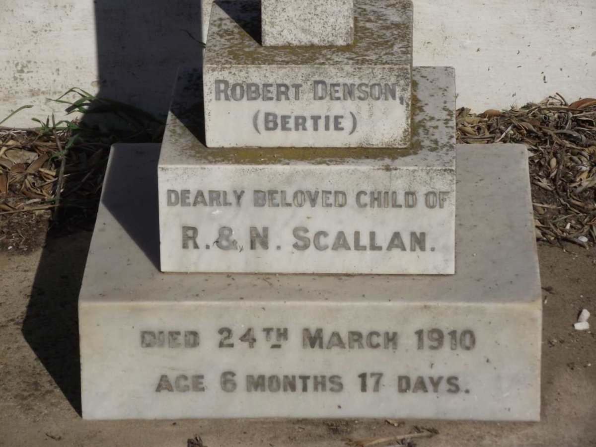 SCALLAN Robert Denson -1910