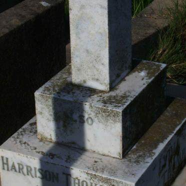 THOMPSON Harrison