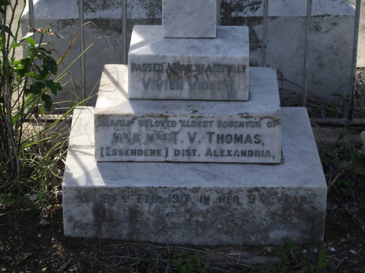 THOMAS Vivien Violet -1917