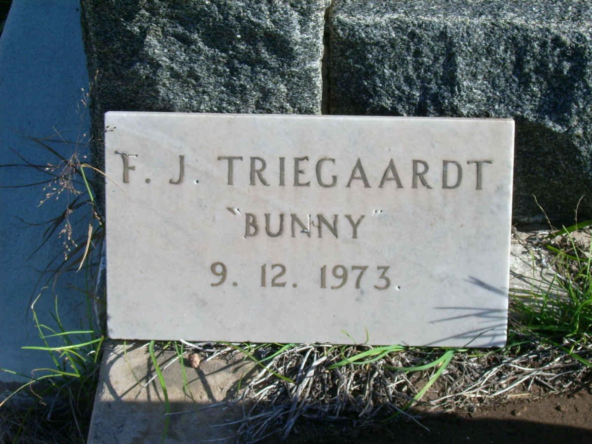 TRIEGAARDT F.J.  -1973