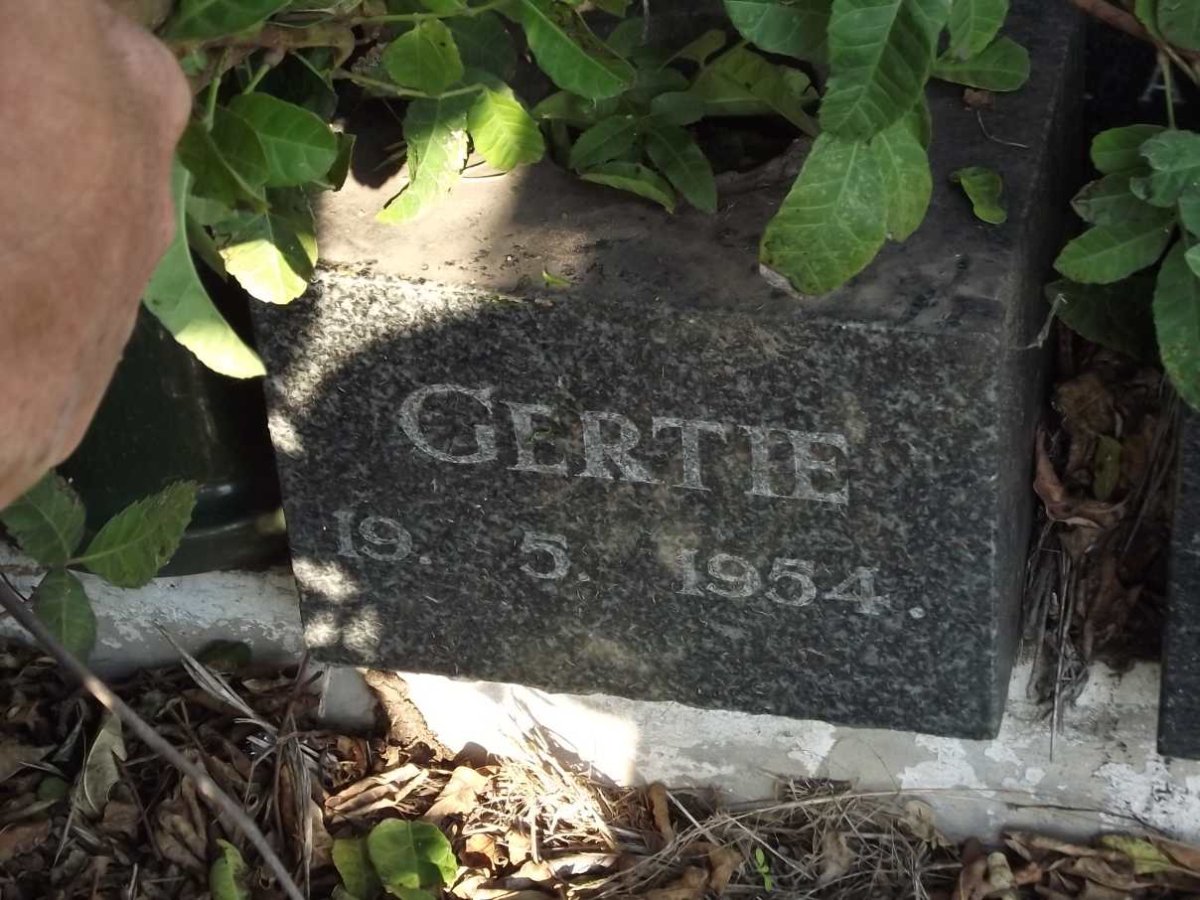 TURPIE Gertie -1954