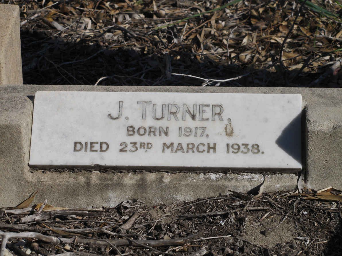 TURNER J. 1917-1938
