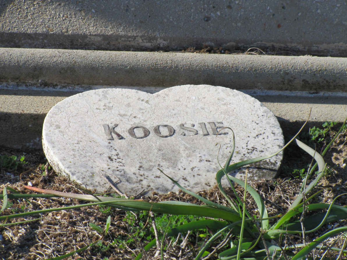 ? Koosie