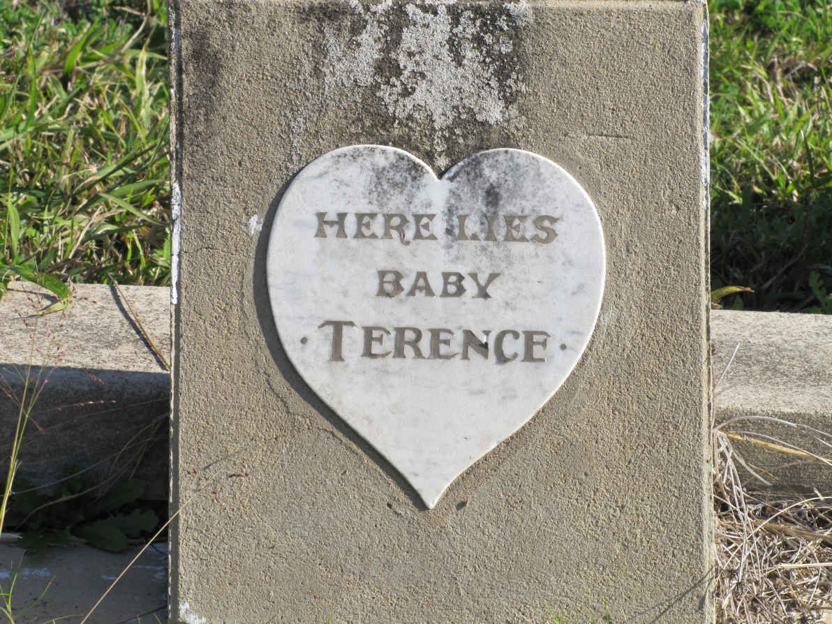 ? Terence