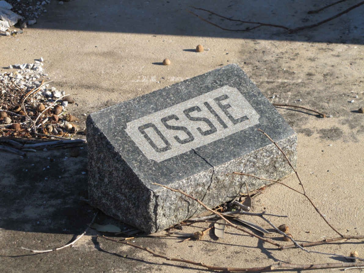 ? Ossie