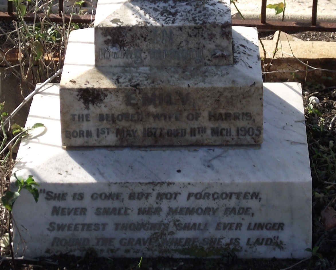 ? Emily 1877 - 1905