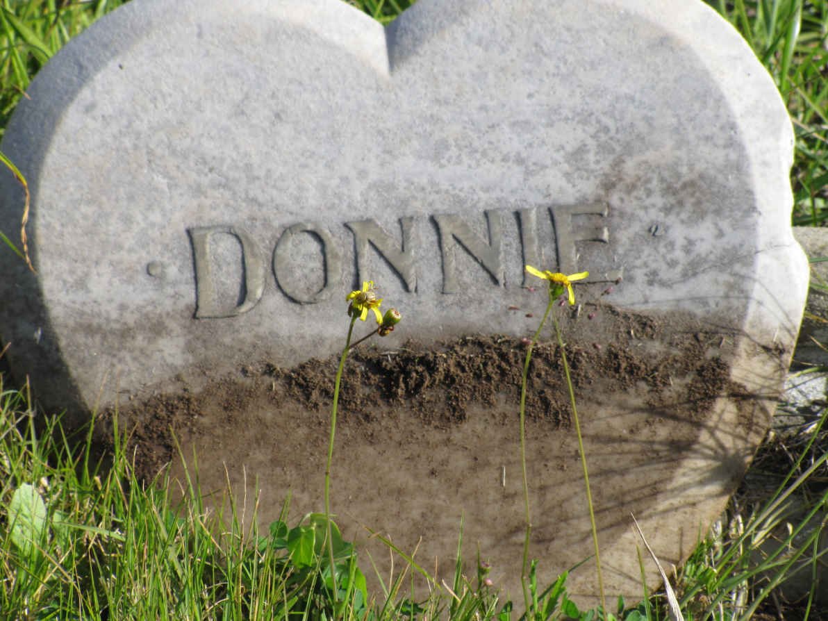 ? Donnie