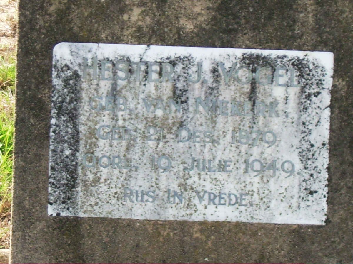 VOGEL Hester J. nee VAN NIEKERK 1879-1949