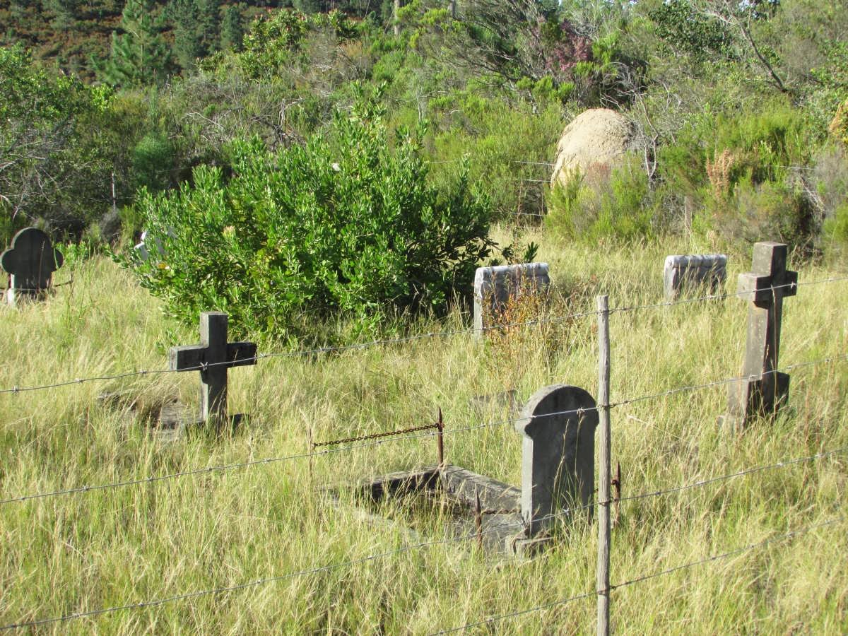 3. Overview