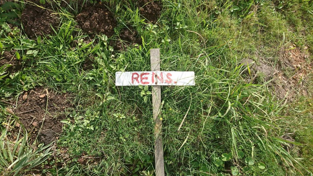 RENS
