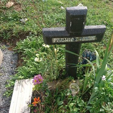 FOURIE Bertha 1941-2016