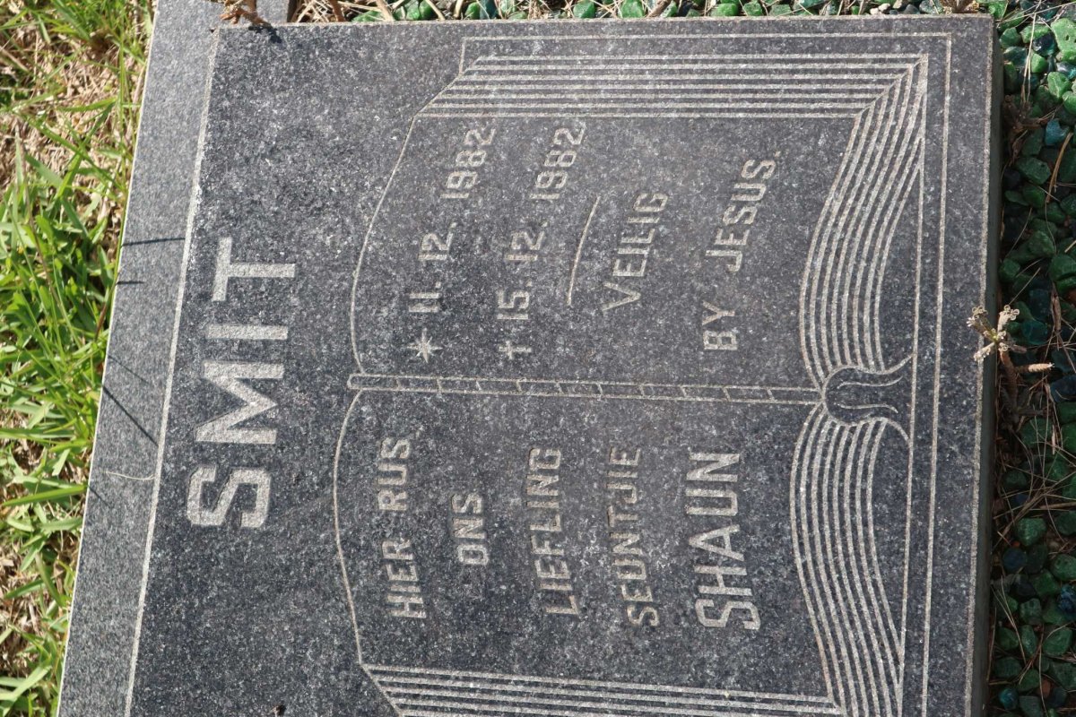 SMIT Shaun 1982-1982