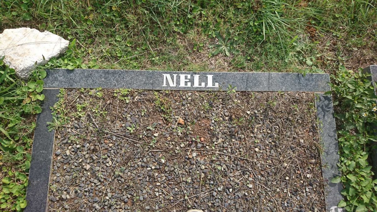 NELL Piet 1940-2007 &amp; Onnie 1945- 