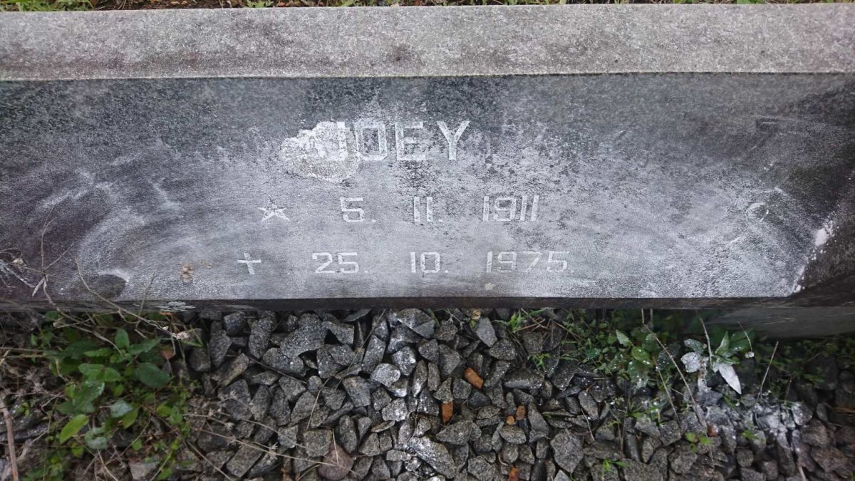 VUUREN Hannes, Jansen van 1901-1991 &amp; Joey 1911-1975