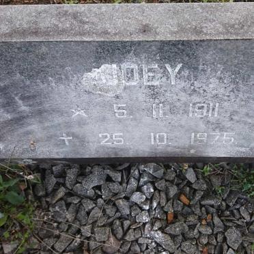 VUUREN Hannes, Jansen van 1901-1991 &amp; Joey 1911-1975