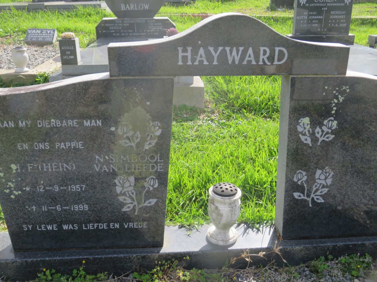 HAYWARD Hein 1957-1999