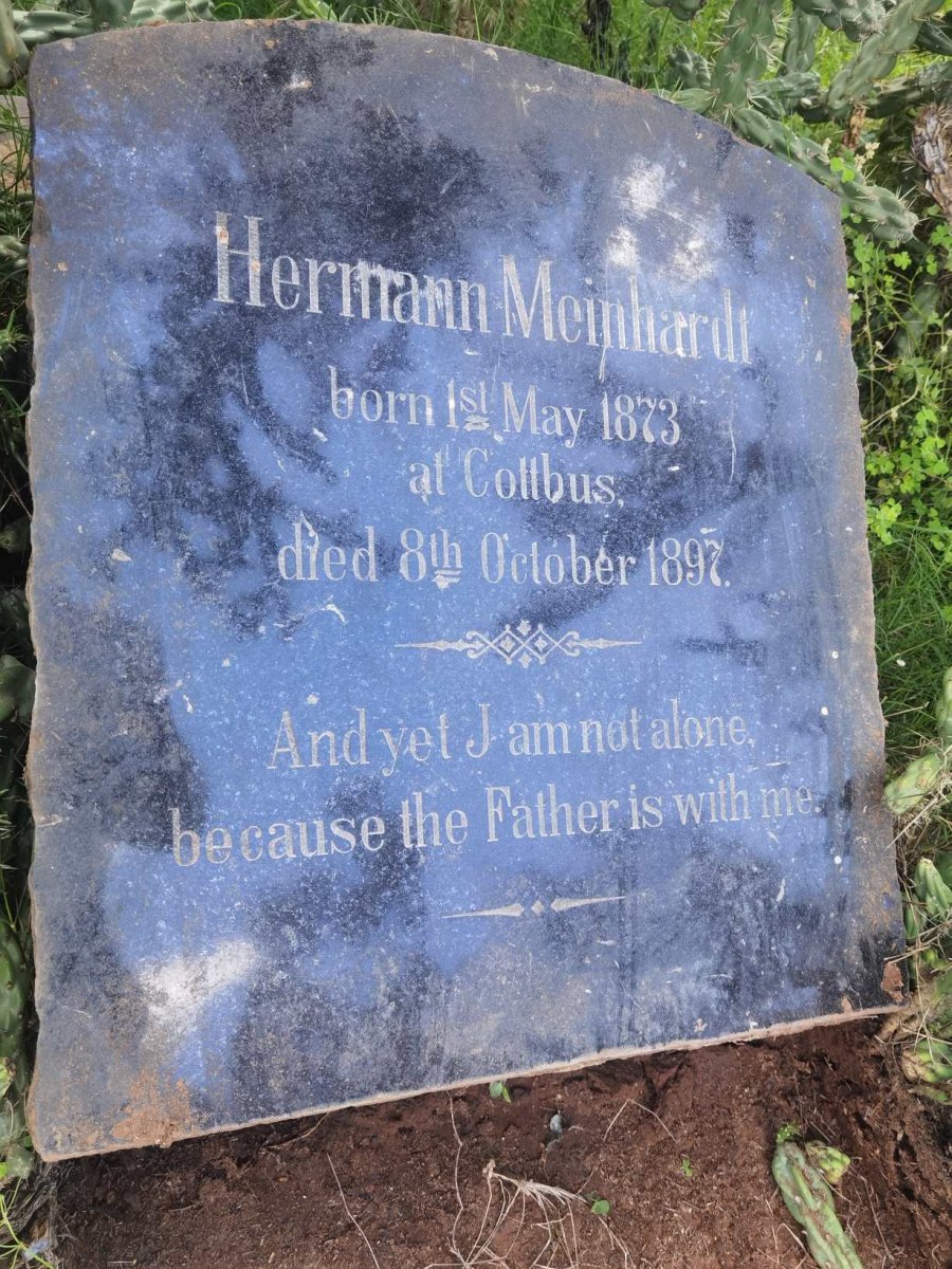 MEINHARDT Heinrich 1873-1897