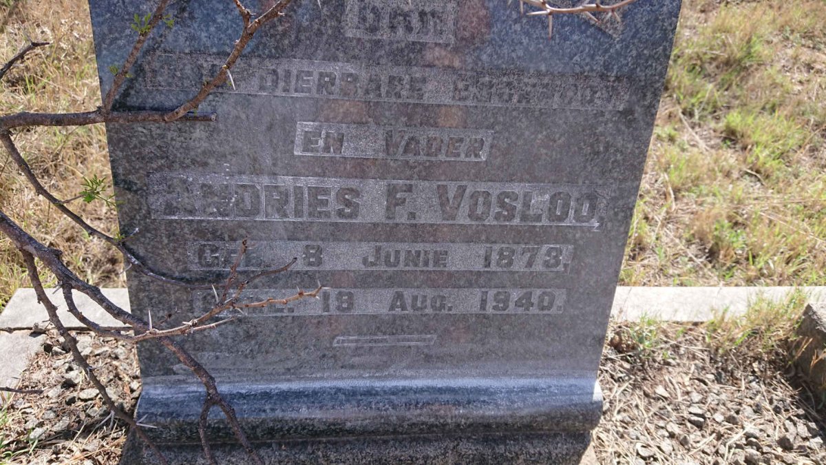 VOSLOO Andries F. 1873-1940