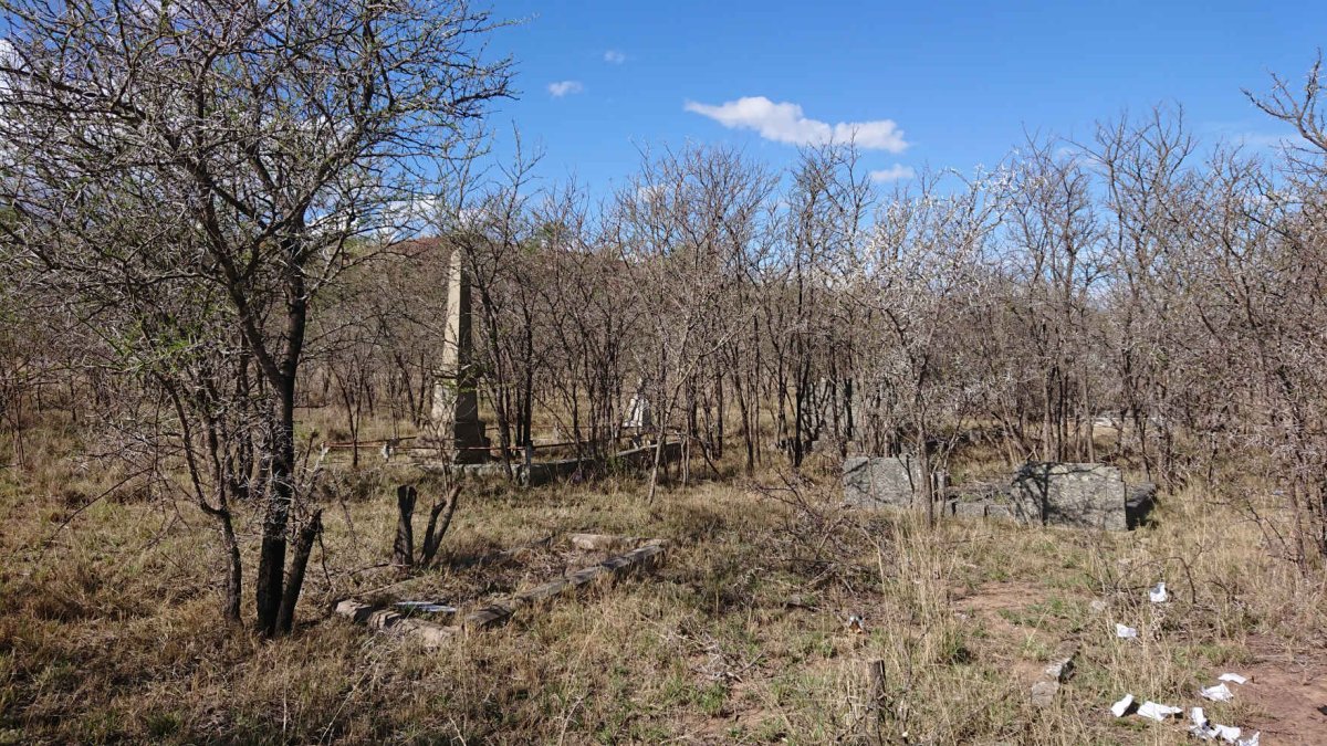 4. Oorsig/Overview