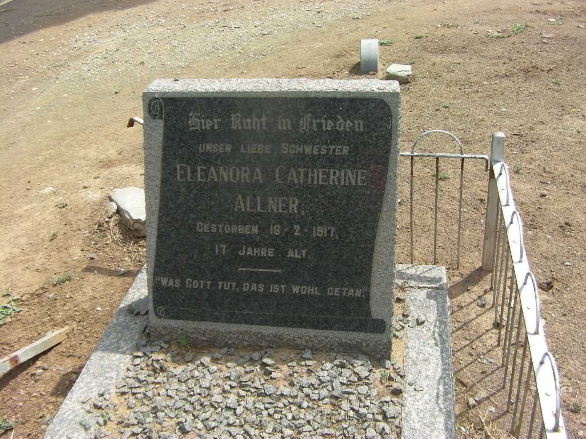 ALLNER Eleanora Catherine -1917