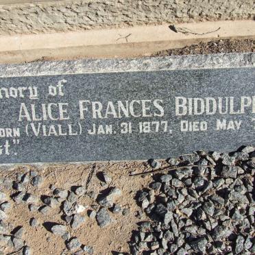 BIDDULPH Alice Frances nee VIALL 1877-1962