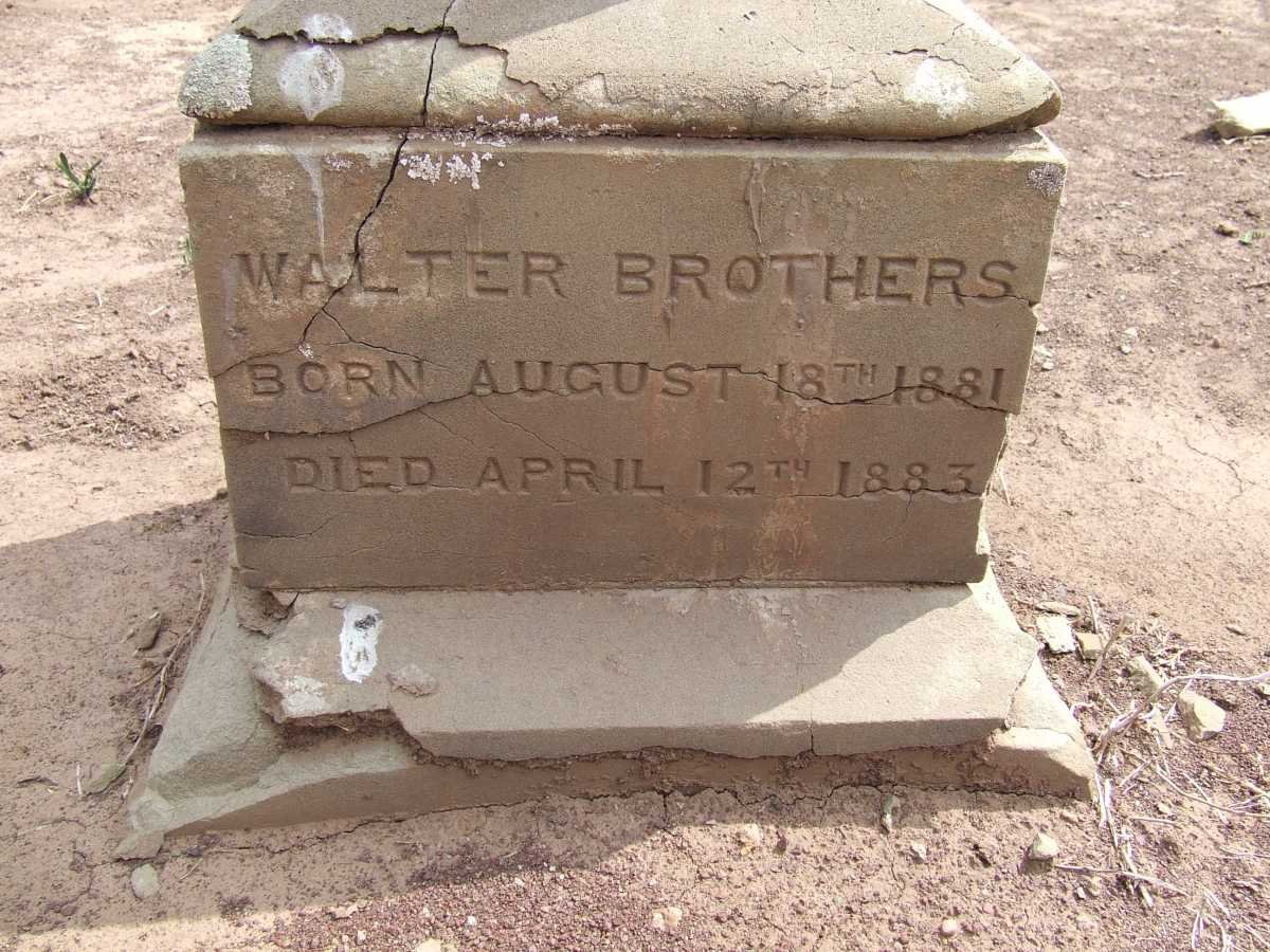 BROTHERS Walter 1881-1883