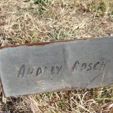 BOSCH Audrey