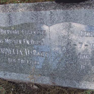 COETZEE Cornelia D. nee COETZEE 1901-1962
