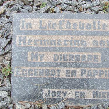 CLASSEN Jacobus Johannes -1945 &amp; Gertruida Magrietha -1944 