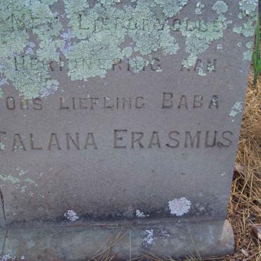 ERASMUS Talana