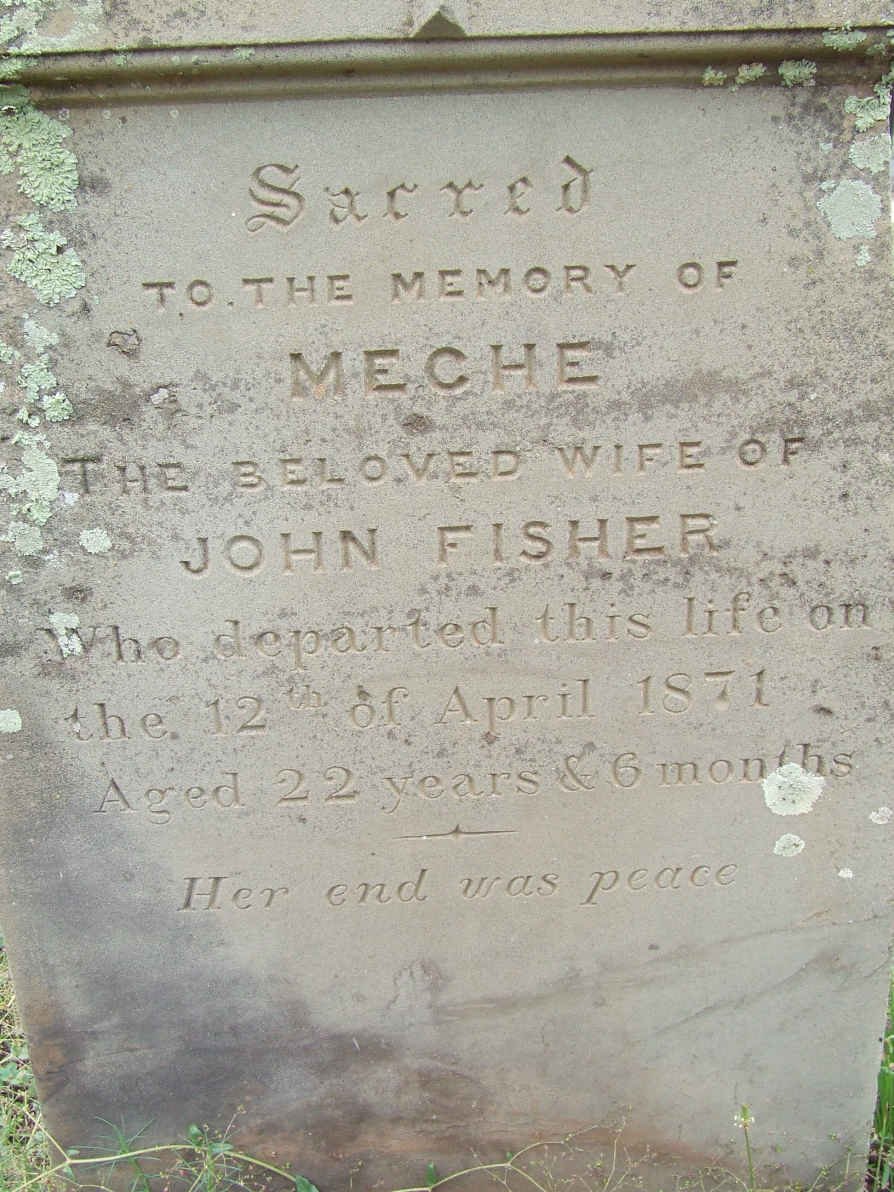 FISHER Meche -1871