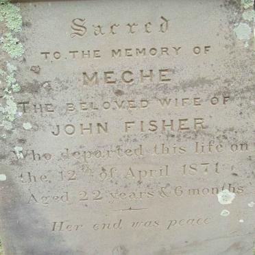 FISHER Meche -1871