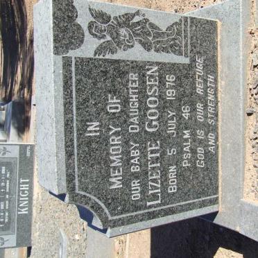 GOOSEN Lizette 1976-