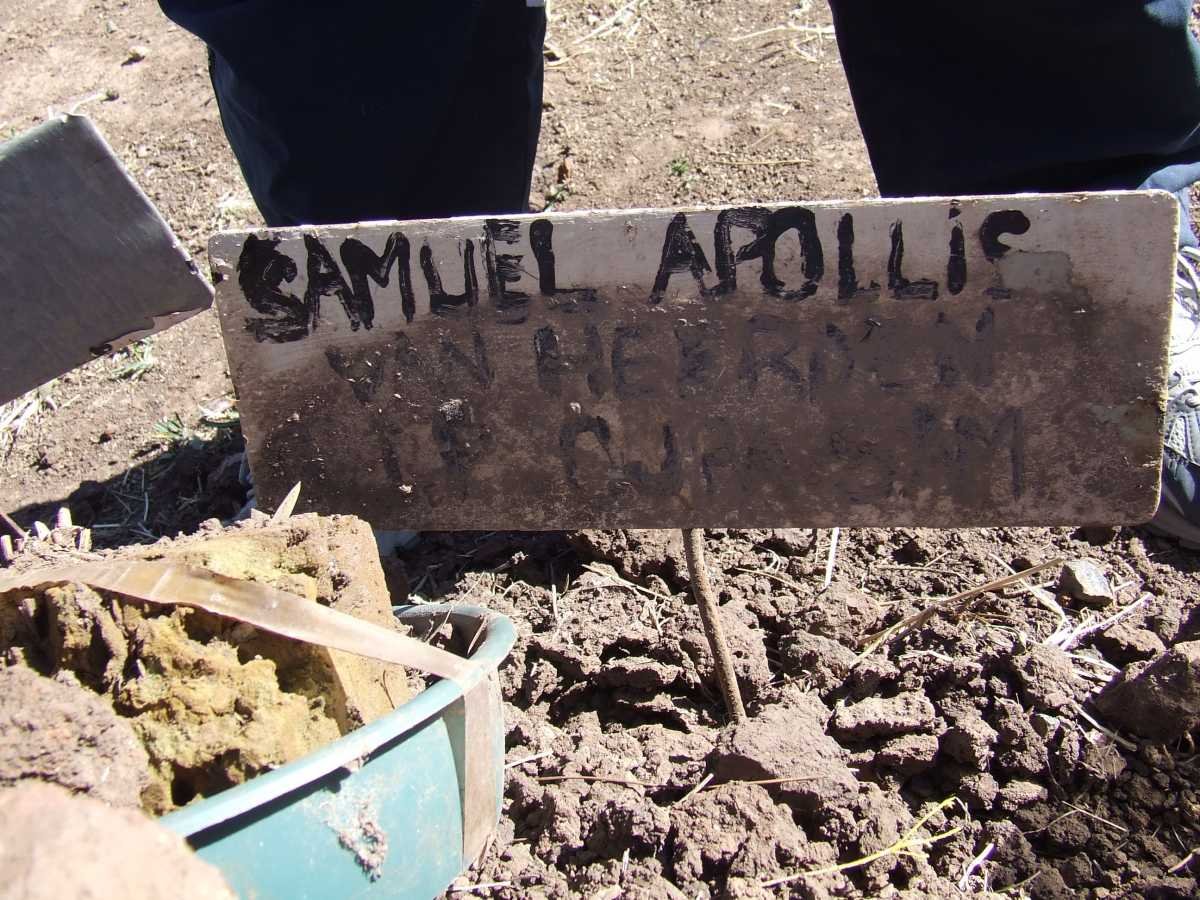 HEERDEN Samuel Apollis, van