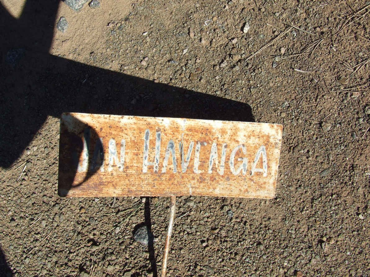 HAVENGA Jan