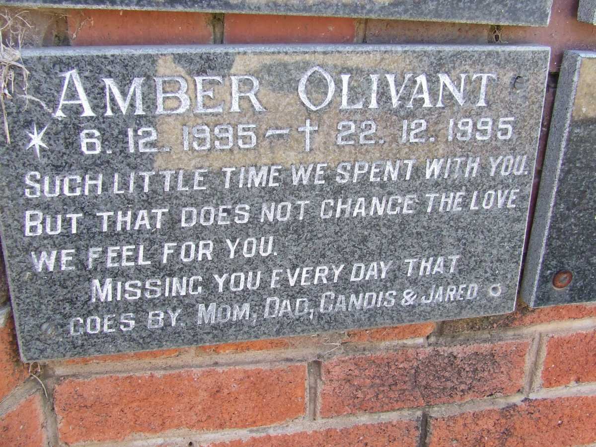 OLIVANT Amber 1995-1995