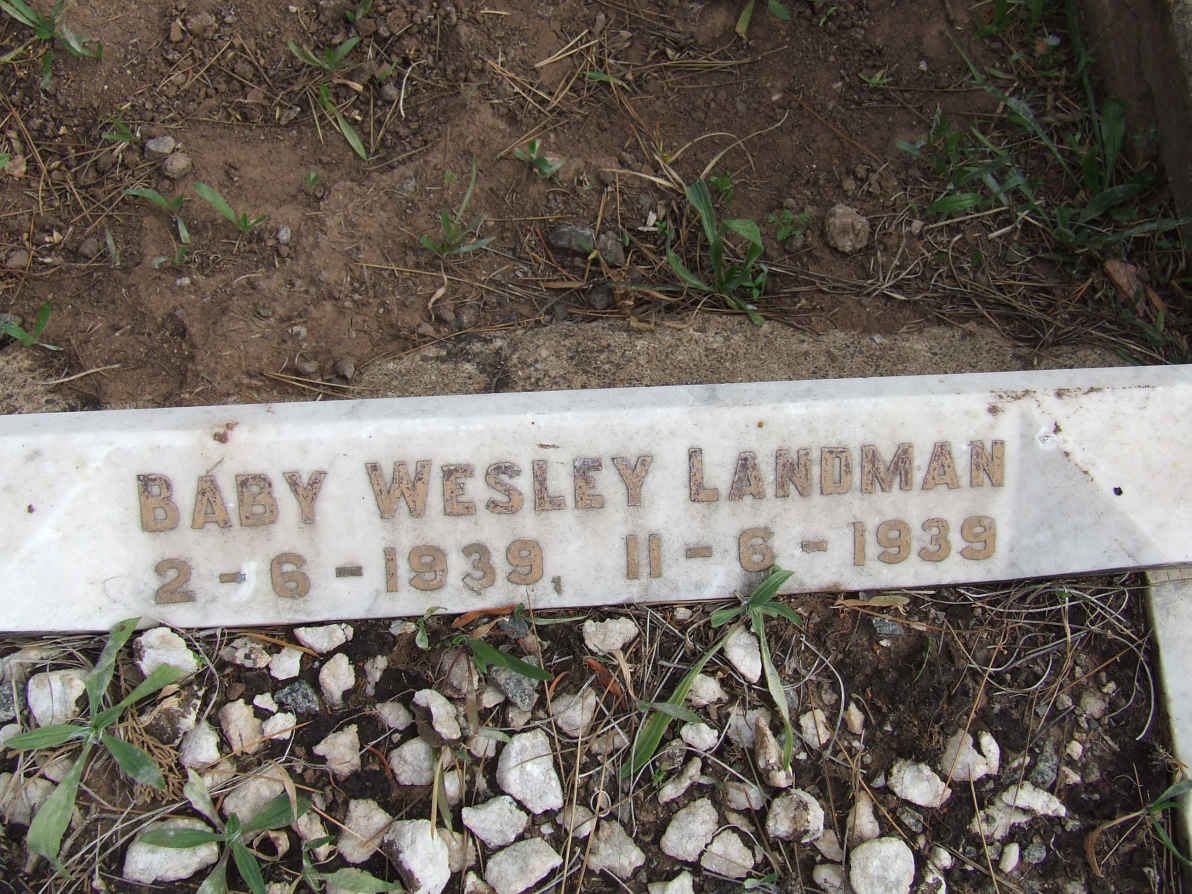 LANDMAN Wesley 1939-1939