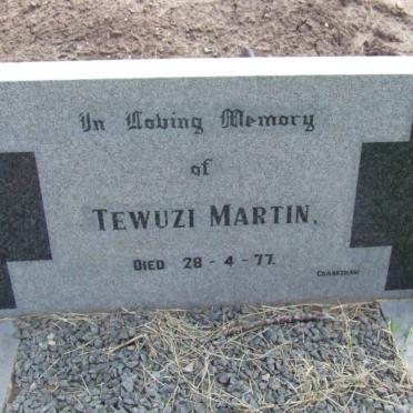 MARTIN Tewuzi -1977