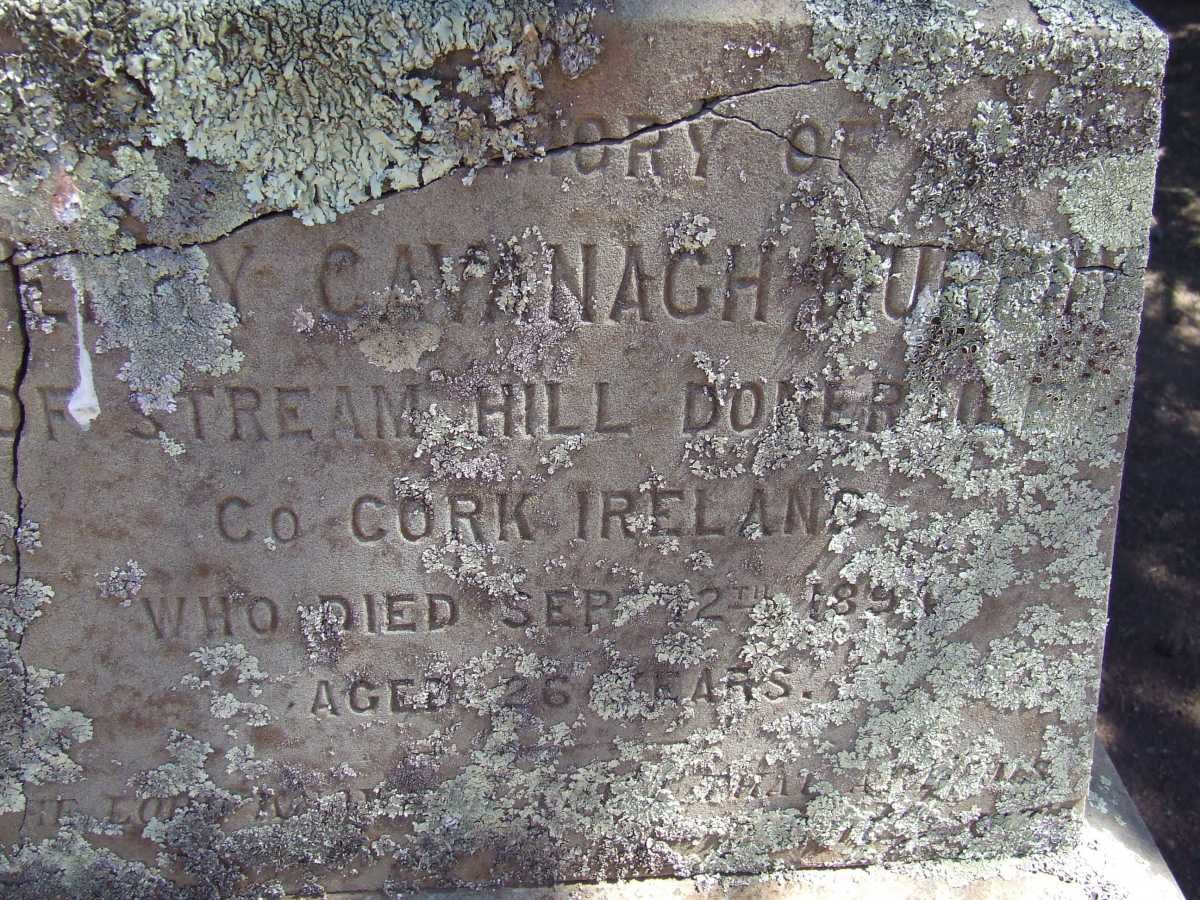 MURPHY Henry Cavanagh -1891