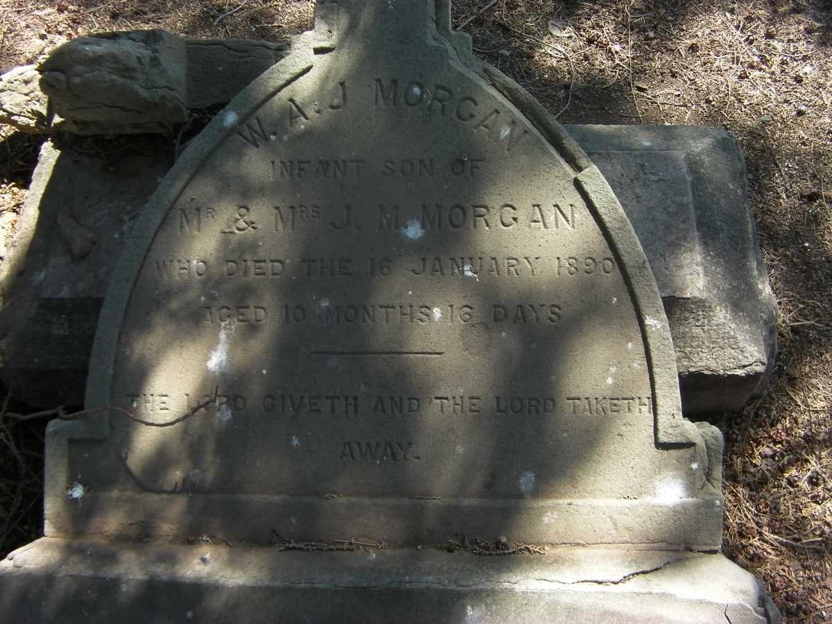 MORGAN W.A.J. -1890
