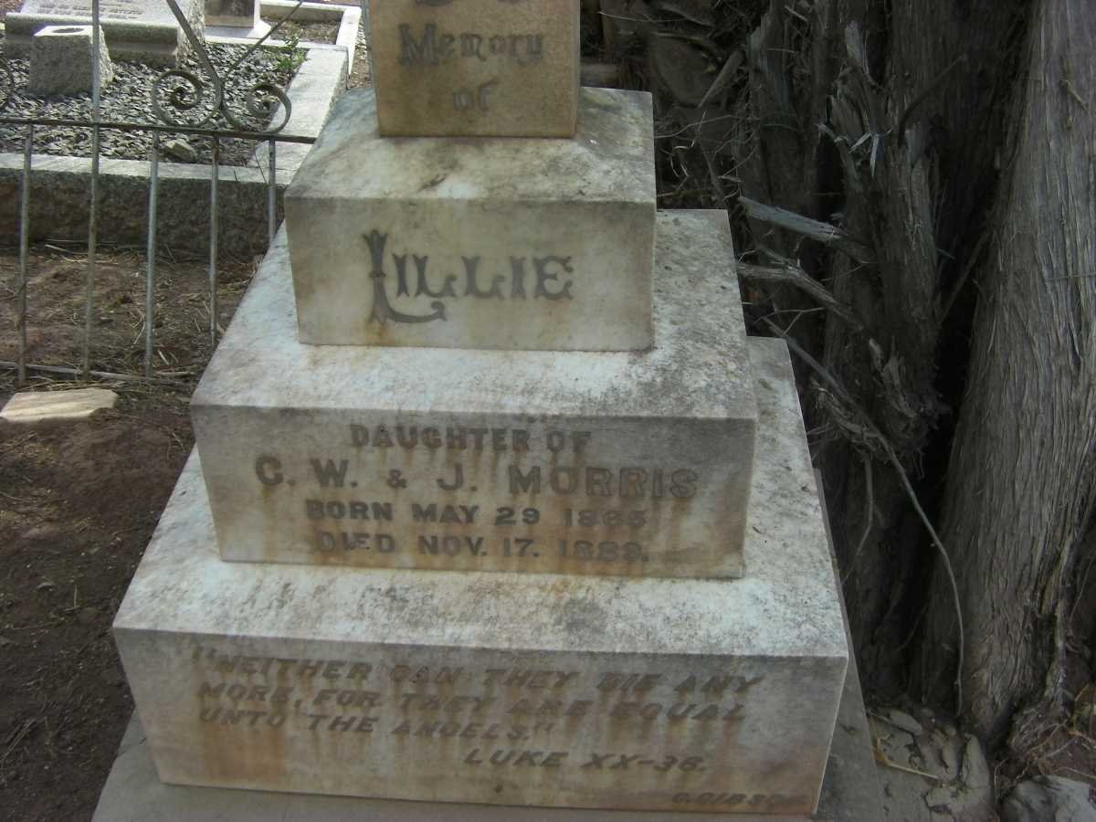 MORRIS Lillie 1885-1889