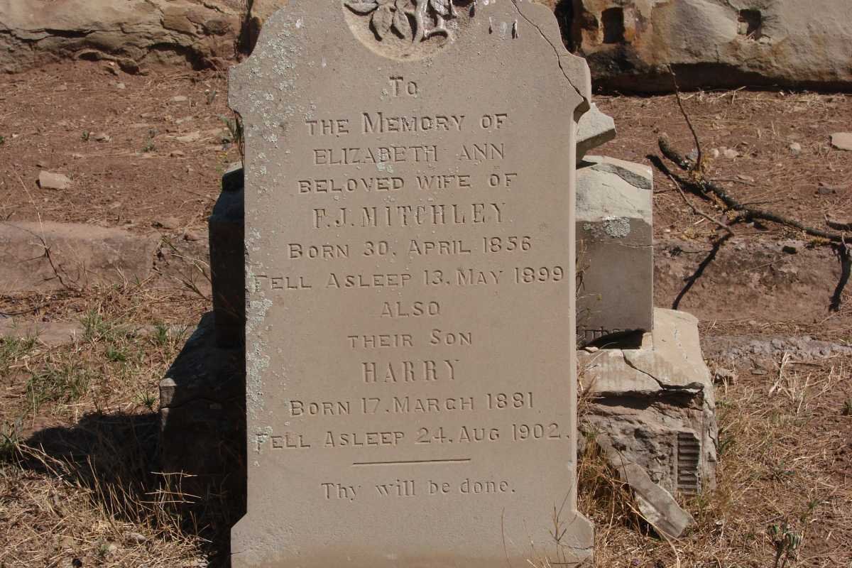 MITCHLEY Elizabeth Ann 1856-1899 :: MITCHLEY Harry 1881-1902