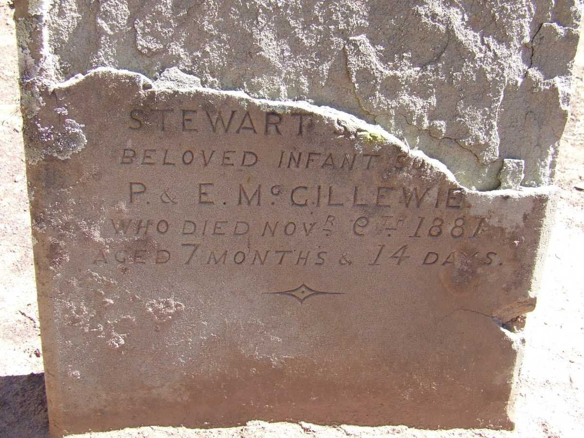McGILLEWIE Stewart -1881