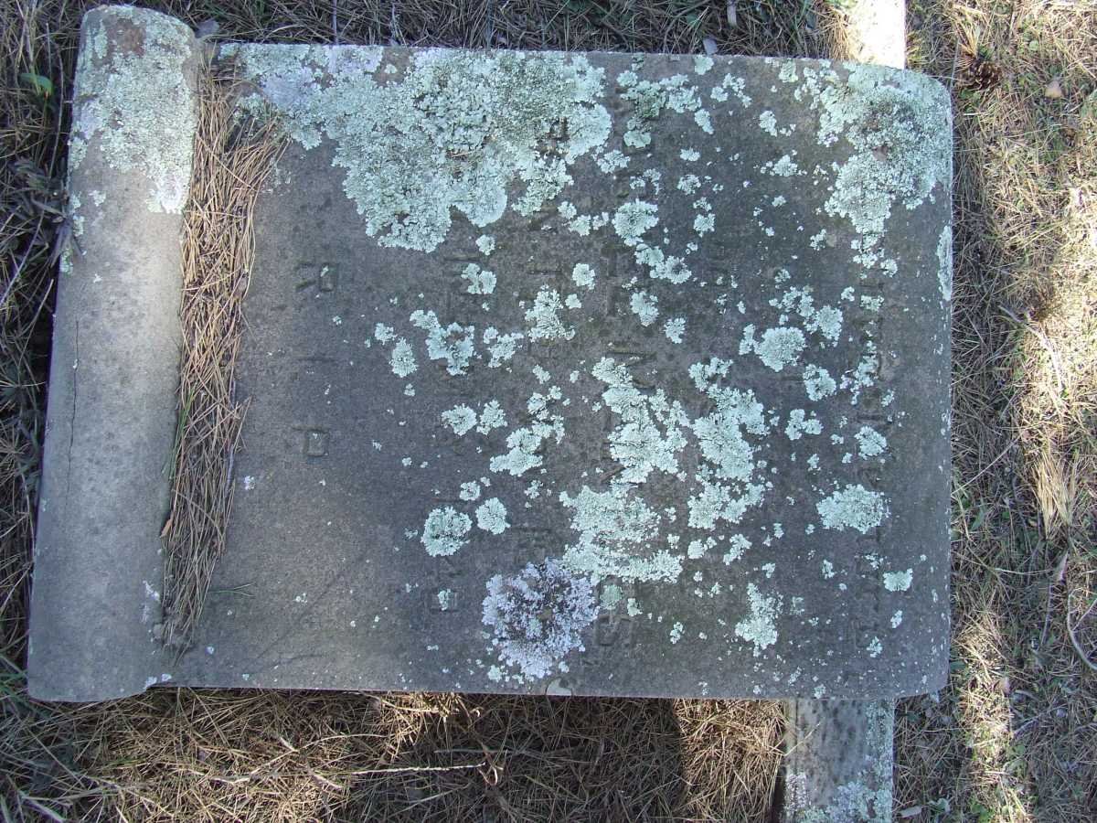 MEINTJES Rachel 1871-1949