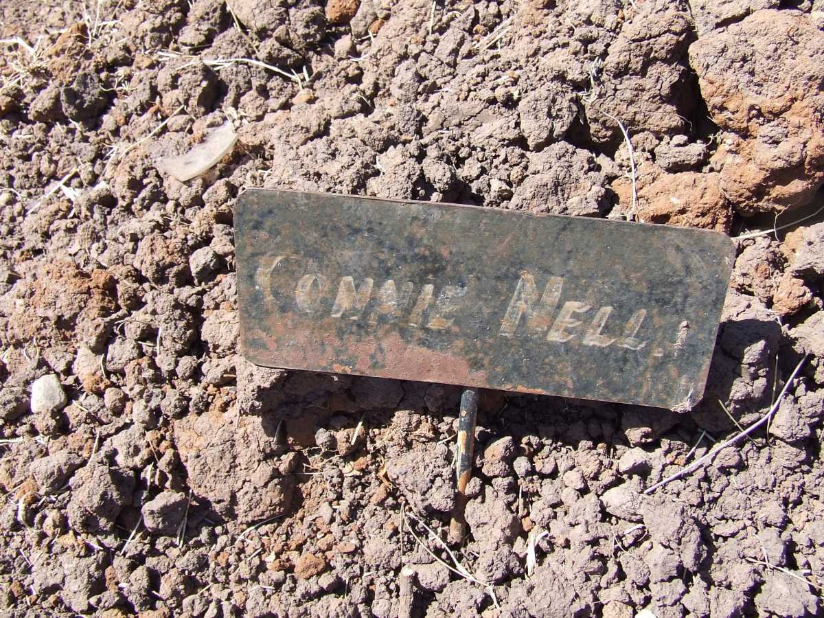 NELL Connie