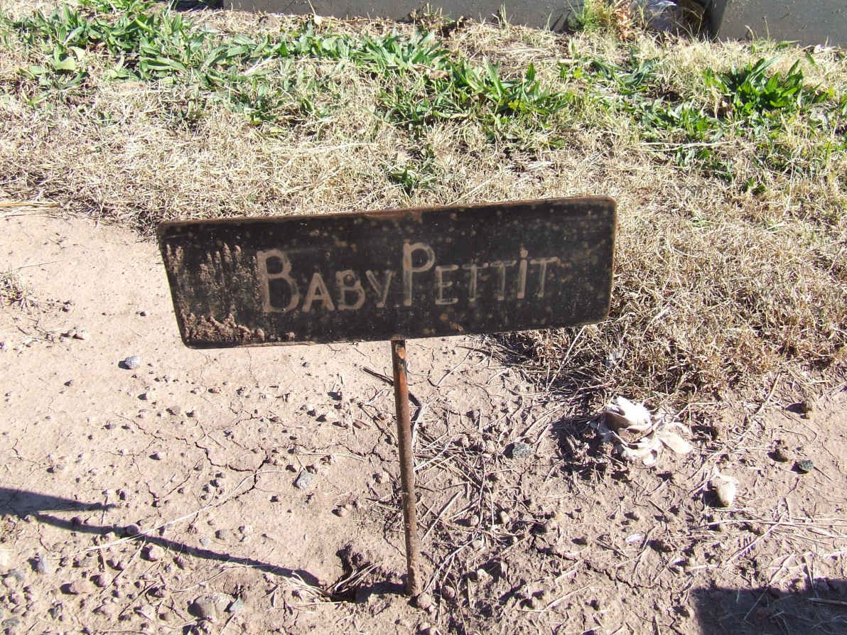 PETTIT Baby